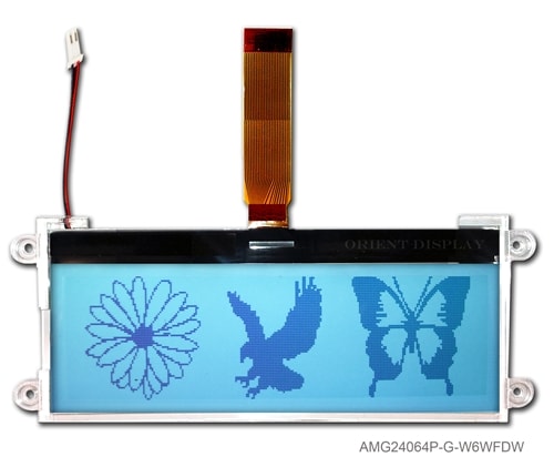 AMG24064P-G-W6WFDW: 4.3