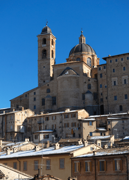 Urbino