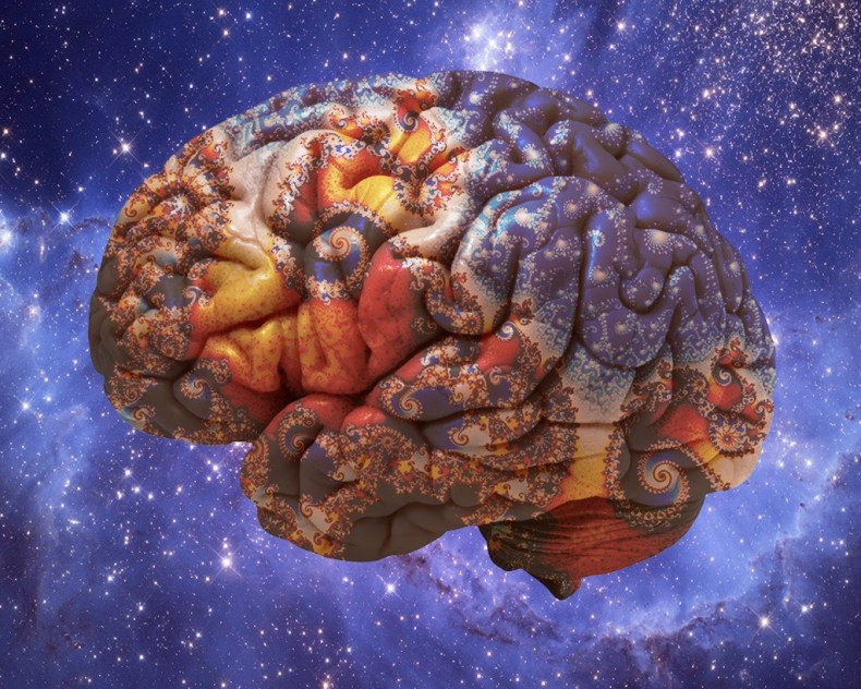 Illustration for Ormond Neuroscience