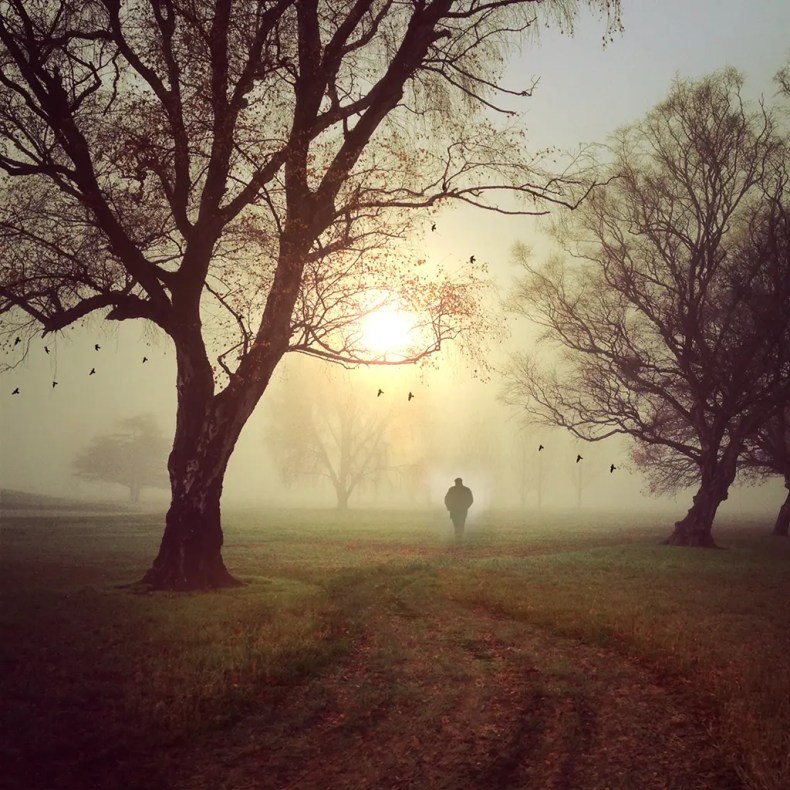 A person on the path to recovery, walking into the light.