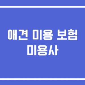 애견 미용 보험 미용사 애견 미용 보험 미용사
