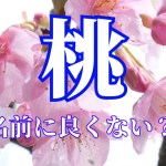【監修】「桃」は名前に良くない3つの理由|意味・由来・名付けの注意点を解説
