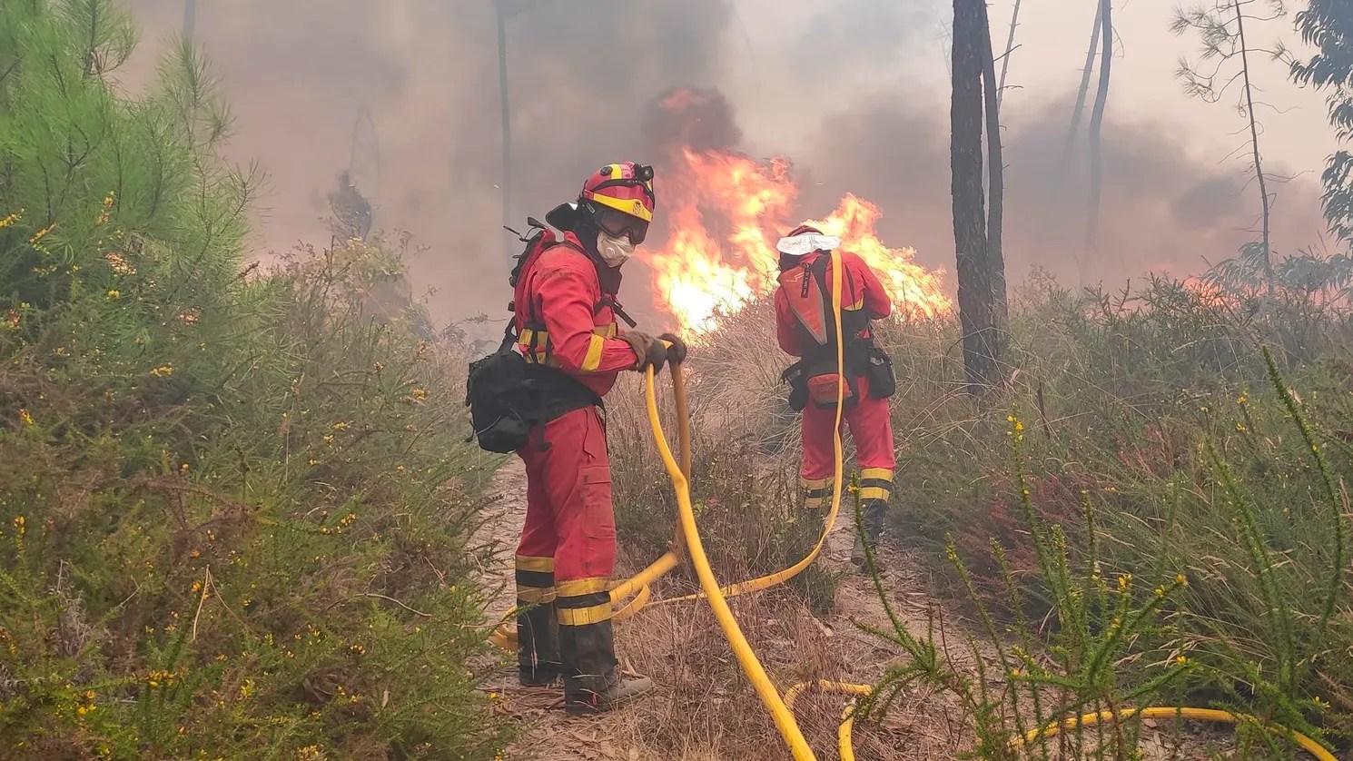 UME en un incendio forestal