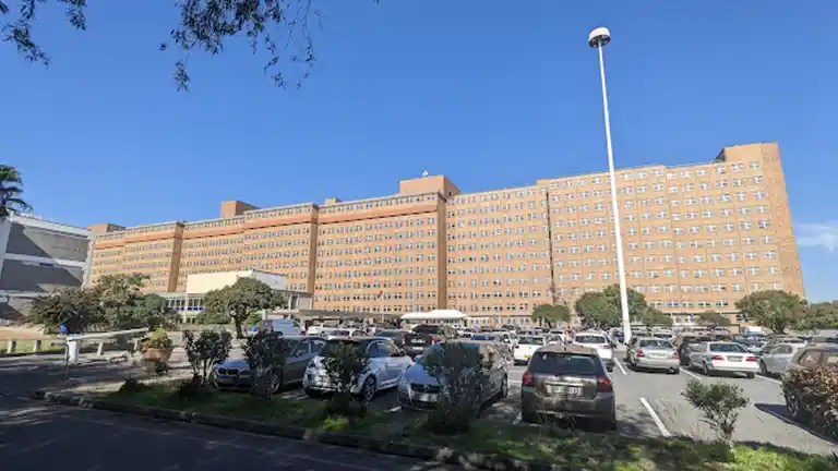 Tygerberg Hospital Visiting Hours 2026 Tygerberg Hospital Visiting Hours.webp