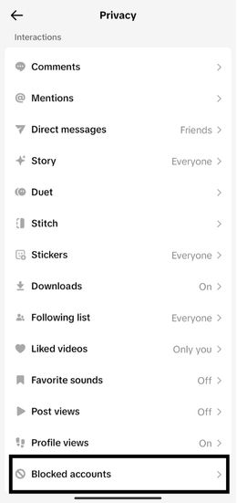 Blocked Accounts on TikTok Settings