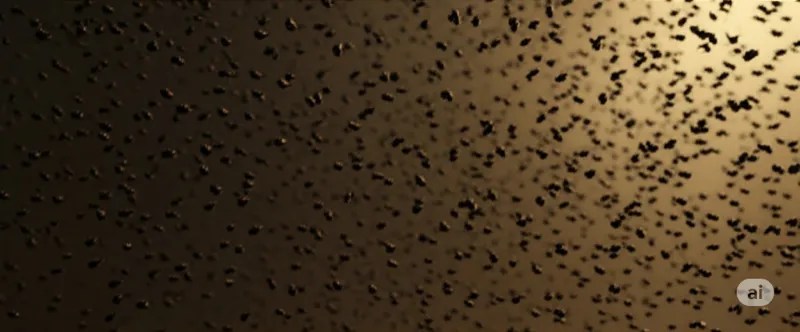 A dense cloud of insects.