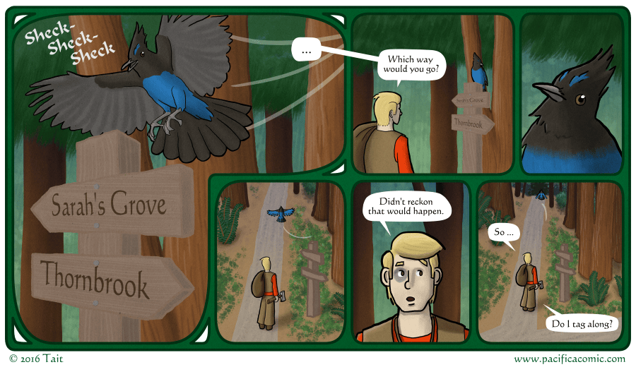 A Steller's Jay lands on the crossroad's signpost.