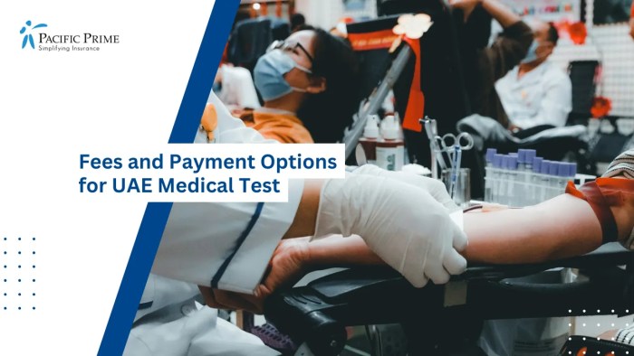 Image of Lab Technician Examining Samples Under A White Microscope with text overlay of "Fees and Payment Options for UAE Medical Test"