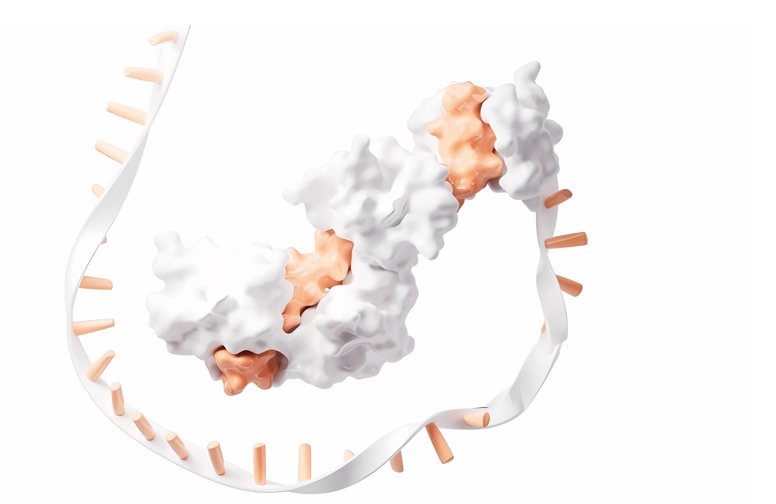 mRNA-Services