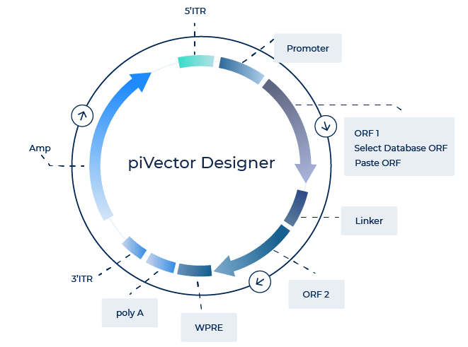 piVector Designer