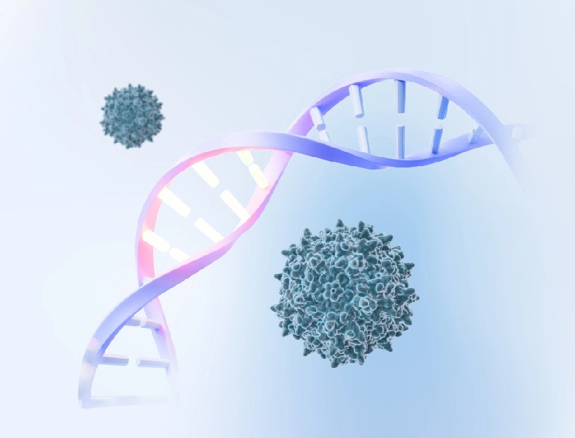 AAV Plasmid