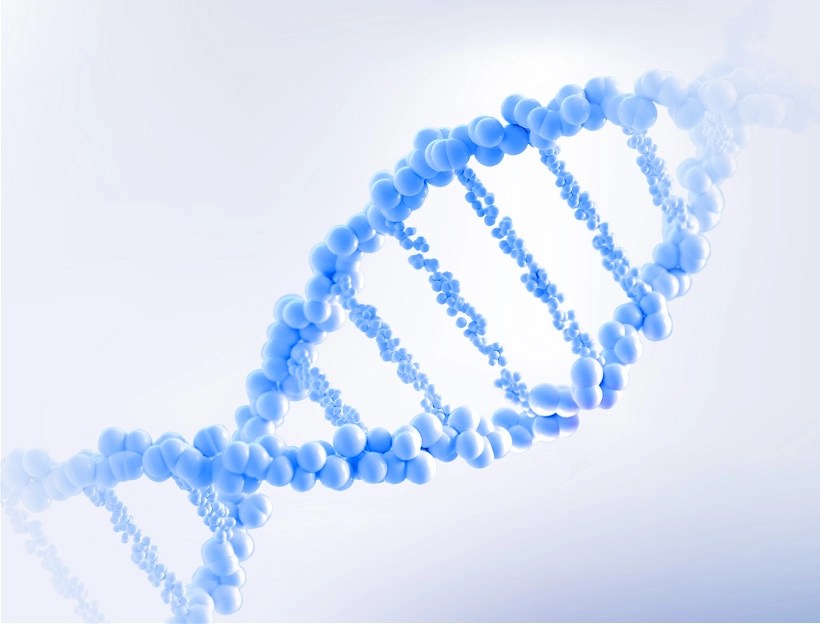 Plasmid prep-preclinical