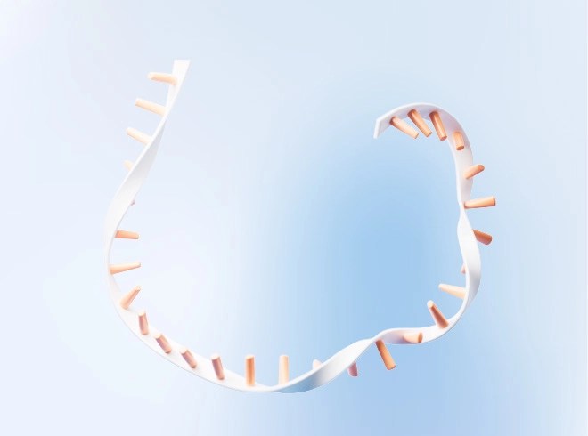 Custom mRNA