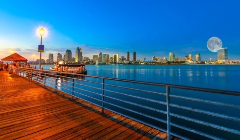 SfN