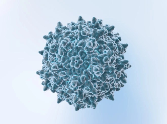 AAV-Packaging-Service