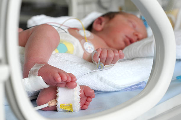 Newborn baby in incubator stock photo