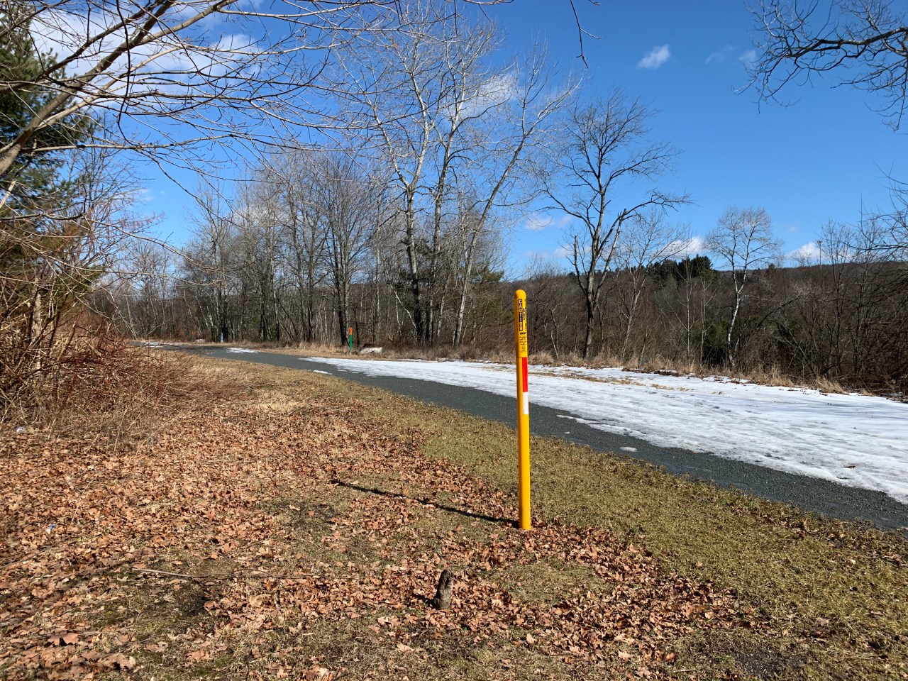 Elections are important events that can signal major changes to come in your local, state or federal governments, so it makes sense to be in the know about who and what wins. Local businesses missing out due to mild winter weather | PAhomepage.com