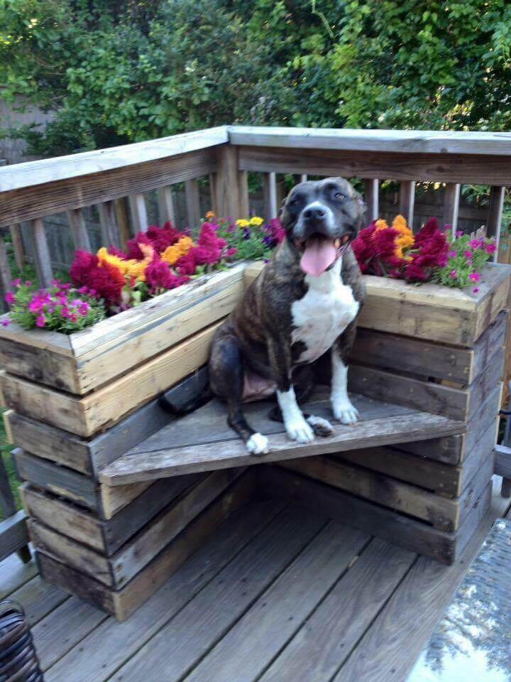 This guide will help you consider what you need and where to buy your bulk order of cardboard boxes, whether you're an individual or a busin. DIY Pallet Bench with Flower Box for Corner - Pallets Pro