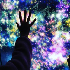 interactive digital art at Pace Gallery's temporary space in Menlo Park