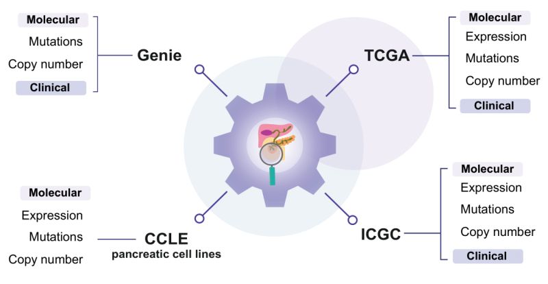 Pancreas Genome Phenome Atlas - Amazing Retina Minimal Patterns | Free Download