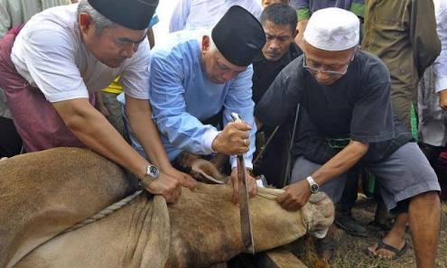 Inilah Sunnah-sunnah Saat Sembelih Hewan Qurban