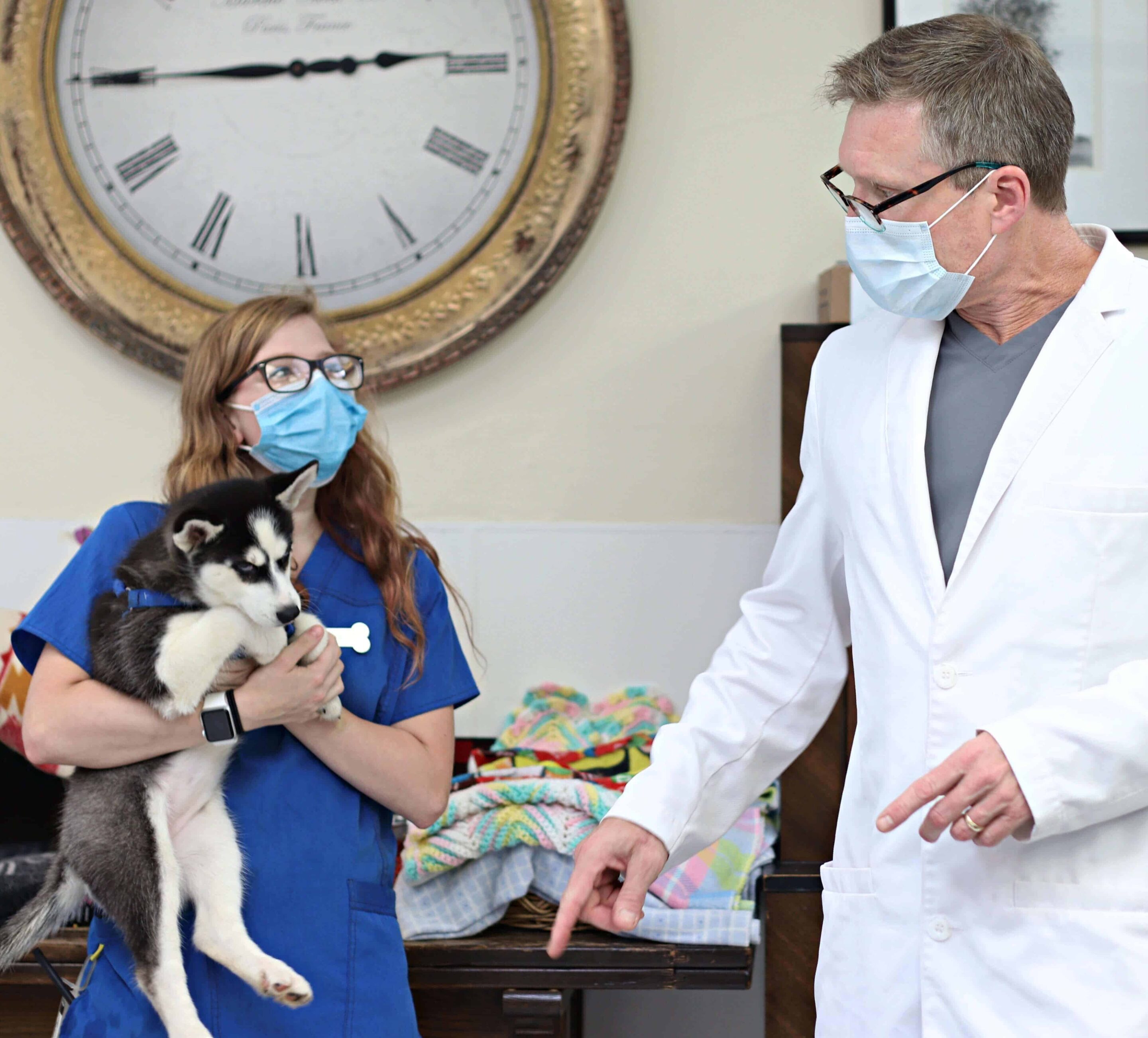 You can register your pet’s microchip and your contact details into 911petchip’s free pet chip registry database so your information can be found in the event you are separated from your pet. How To Register A Microchip Paoli Vetcare