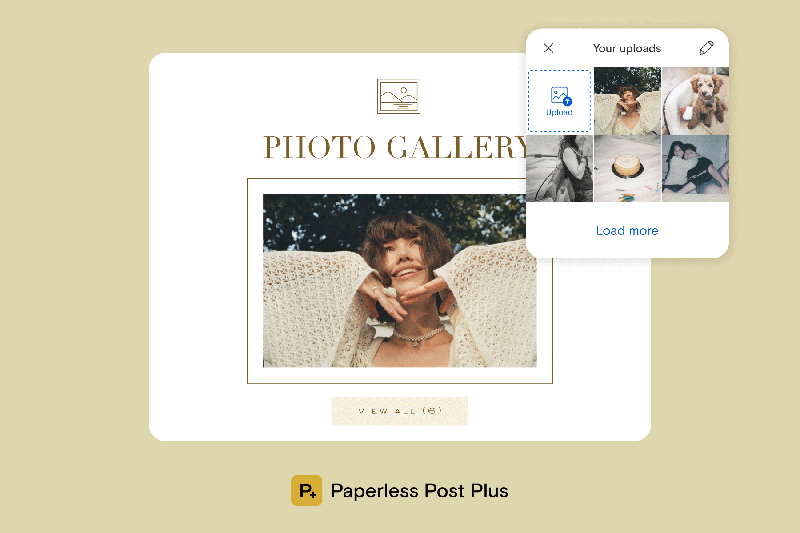 What Is Paperless Post Plus Paperless Post - Nature Texture Collection - Ultra HD Quality