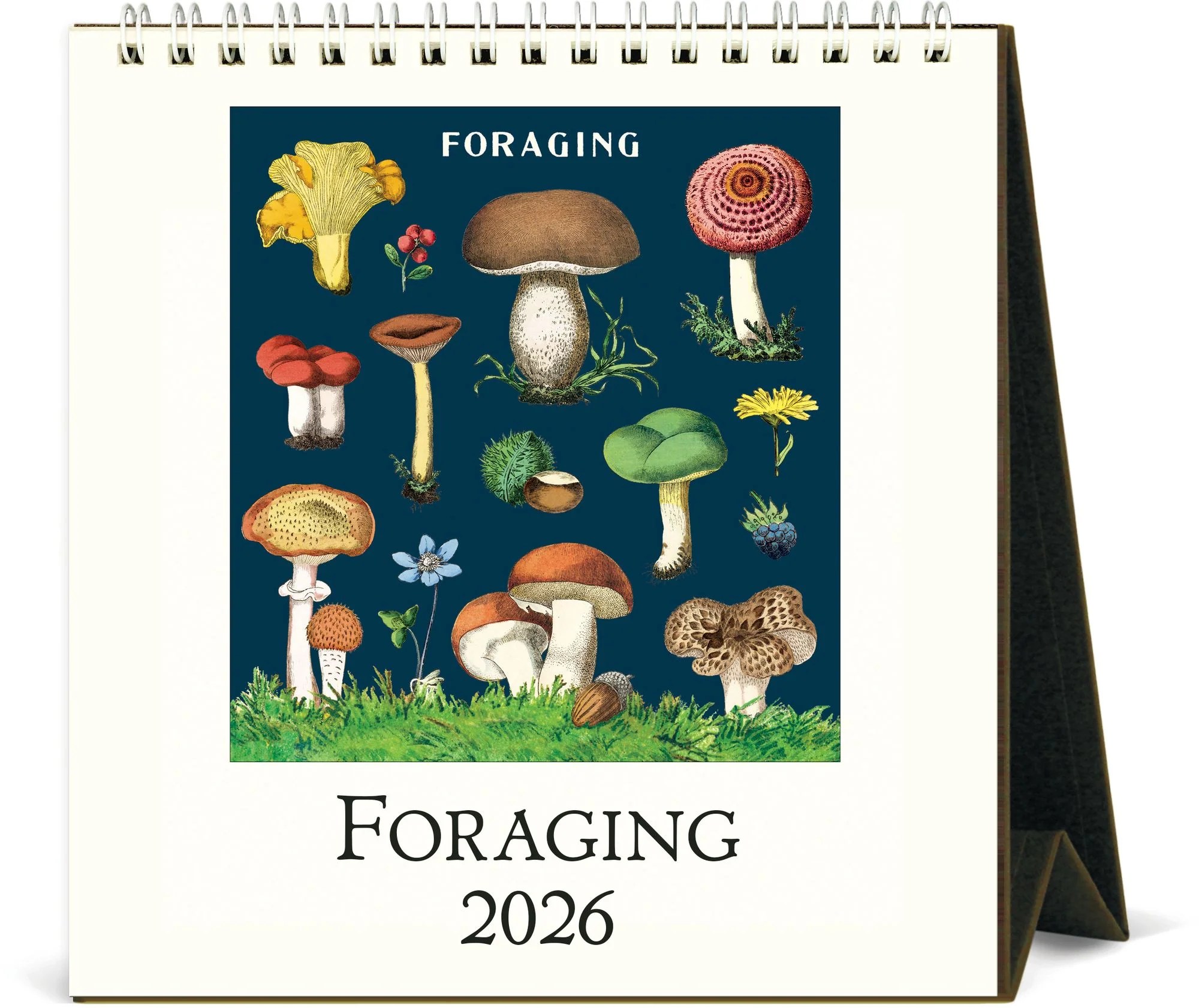 2026 Foraging Desk Calendar Paper Source 622577541 