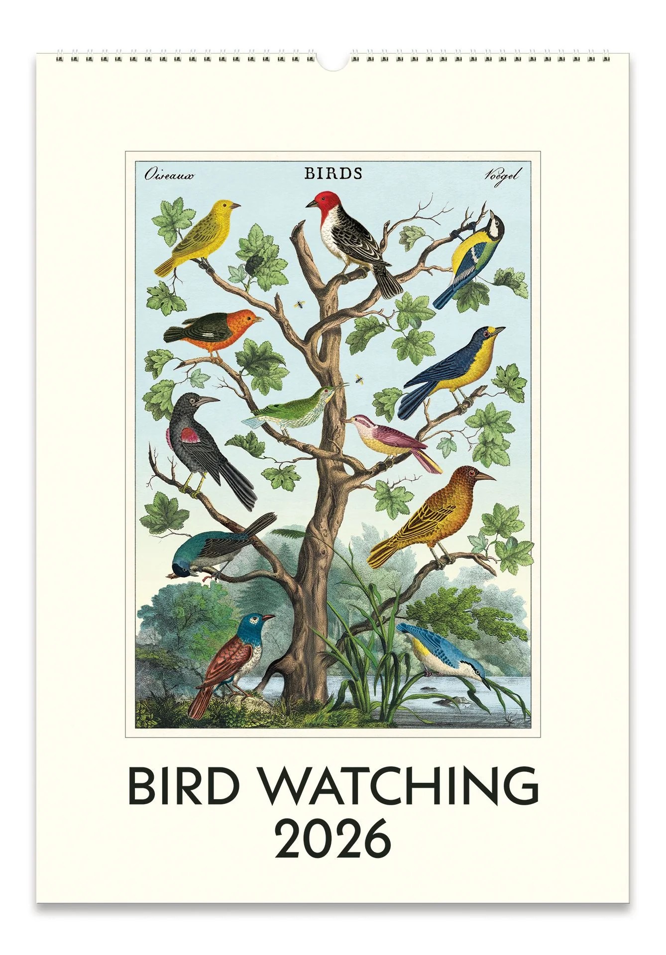 2026 Bird Watching Wall Calendar Paper Source 622577549 