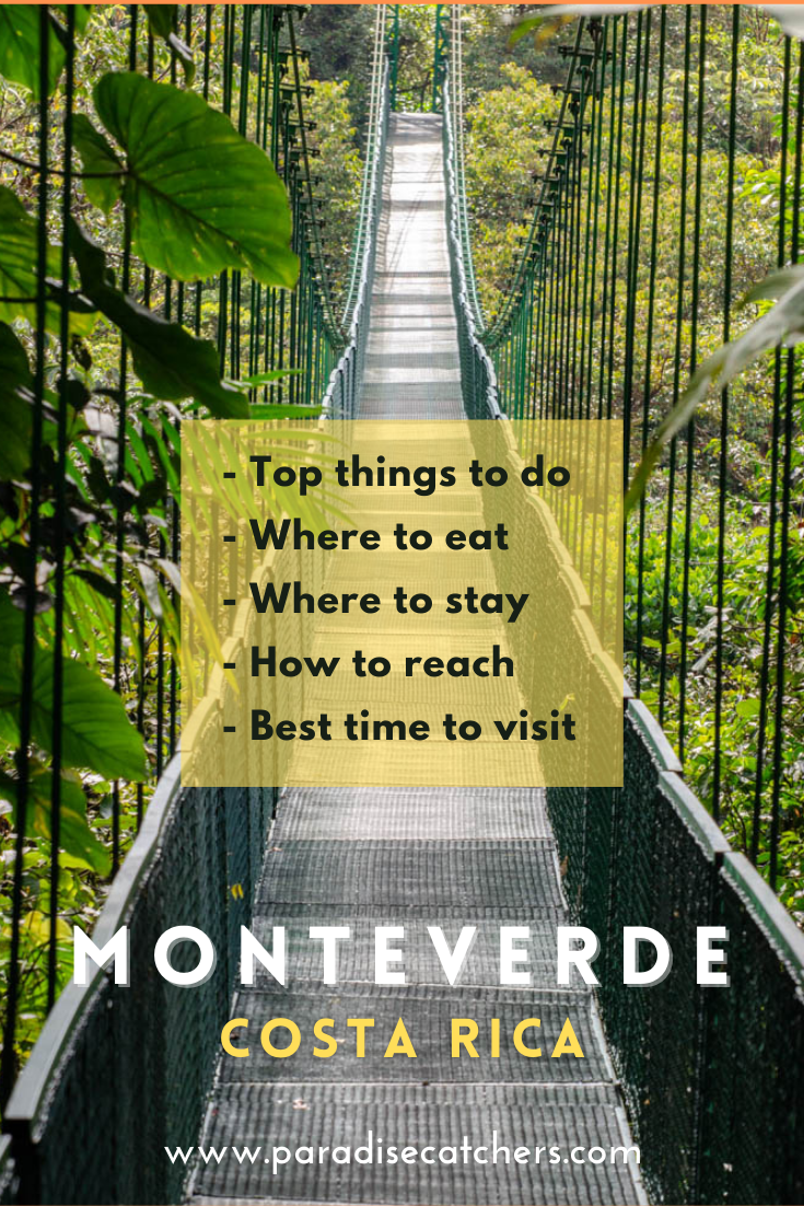 Monteverde is a cloud forest haven in Costa Rica offering opportunities to explore its rich biodiversity, zip-line tours and much more. Check out the article for details on the best things to do in Monteverde, best time to visit, how to reach, where to stay and where to eat.