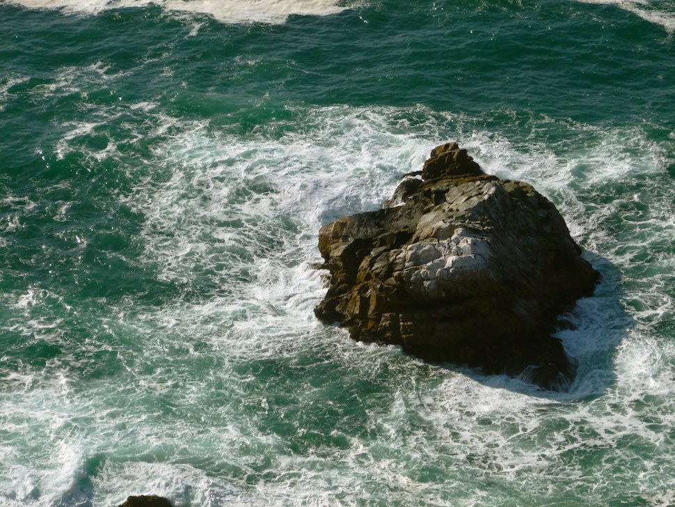 Point Reyes Wind Point Reyes in Pictures - Park Chasers