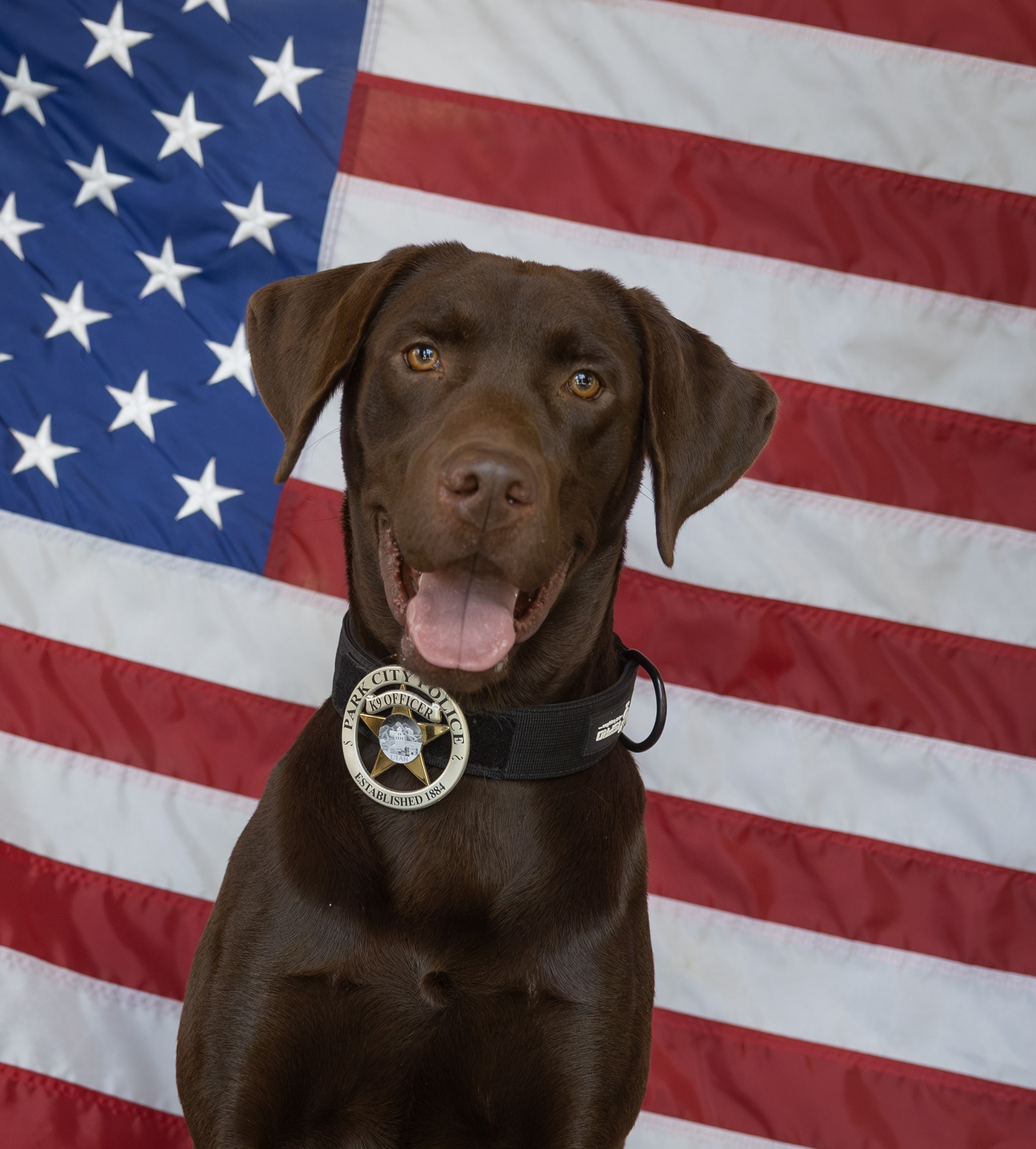 Bruno-1.jpg?fit=2212,2454&ssl=1