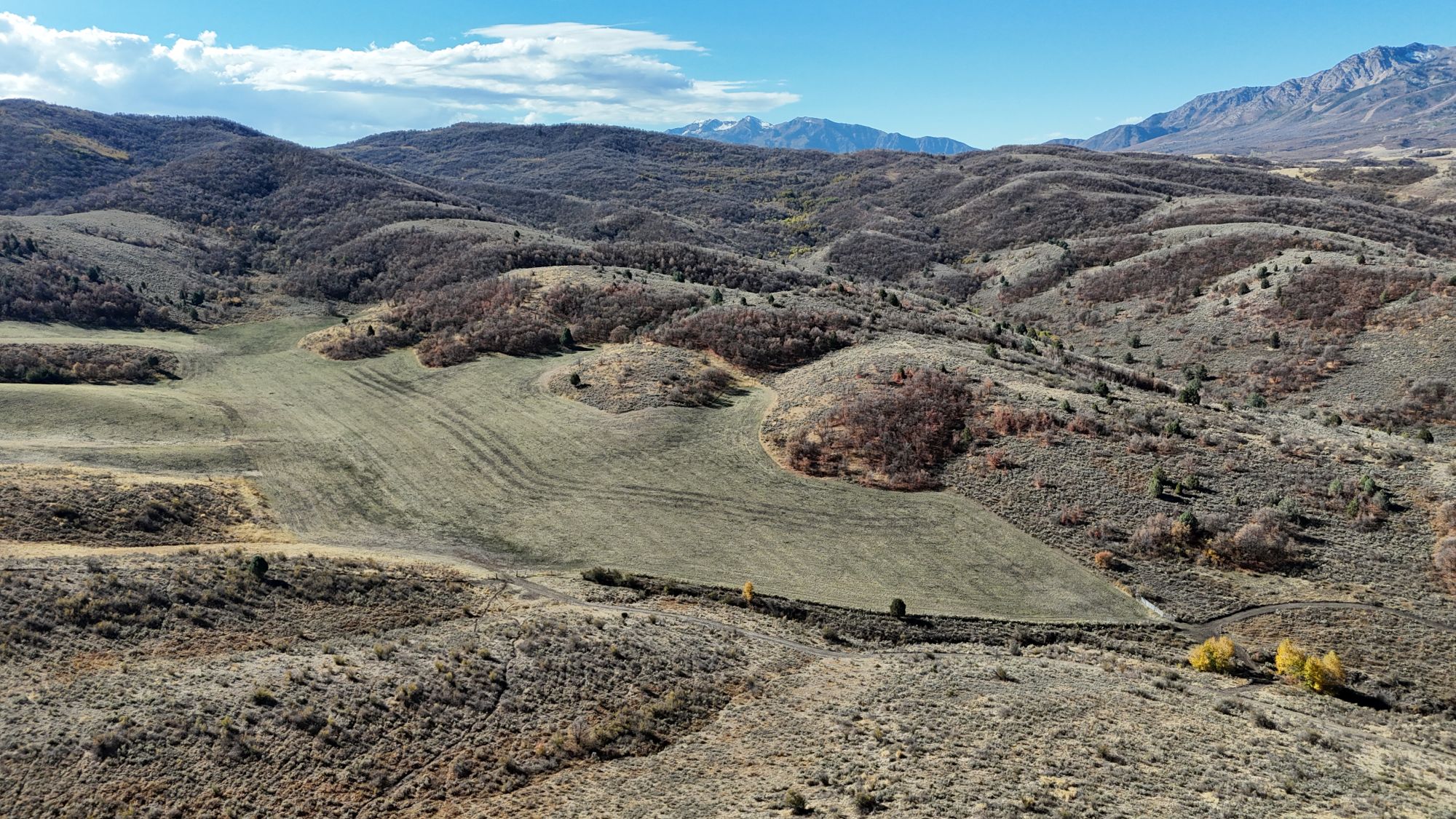 Summit Land Conservancy’s latest easement protects lands across Ogden Valley