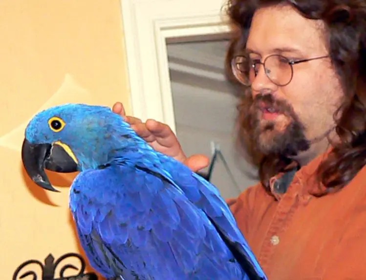 Use this guide to look for free items on craigslist. Scam Ads On Craigslist Parrot Forum Parrot Owners Community