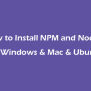 NPM And Node.js Installation Guide On Windows & Mac & Ubuntu