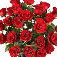 DOZEN RED ROSES