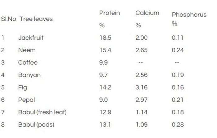 Do Leaves Have Nutritional Value? A Comprehensive Review Do Leaves Have Nutritional Value? A Comprehensive Review