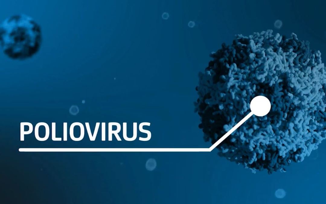 Journée mondiale de lutte contre la poliomyélite : retour en images sur la formation « Détection directe de poliovirus par la technique de séquençage par Nanopore ».