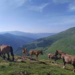 Patagonia-Biking explores pedaling! Double longitudinal crossing of the Pyrenees (2050 km. Elevation gain +45,000)!