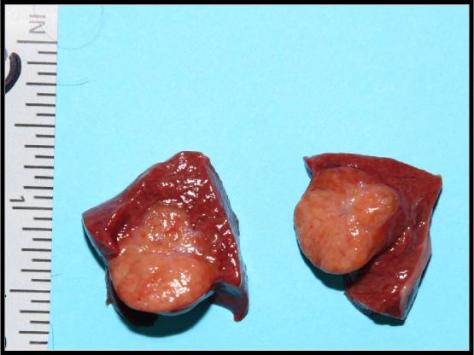 Forensics Part 1 Question #1