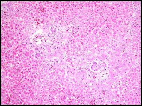 Forensics Part 1, Question #10