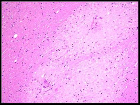 Forensics Part 1 Question #2