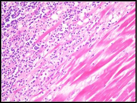 Forensics Part 1 Question #5