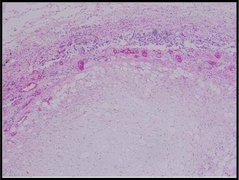 Forensics Part 1, Question #7