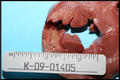 Forensics Part 1, Question #8