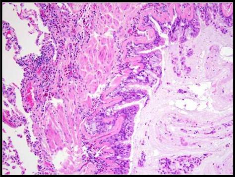 Forensics Part 1, Question #9