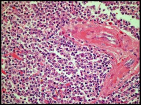 Forensics Part 2, Question #10