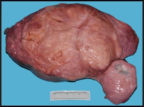 Forensics Part 2, Question #2