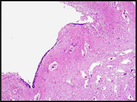 Forensics Part 2, Question #4