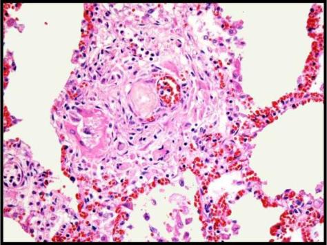 Forensics Part 2, Question #5